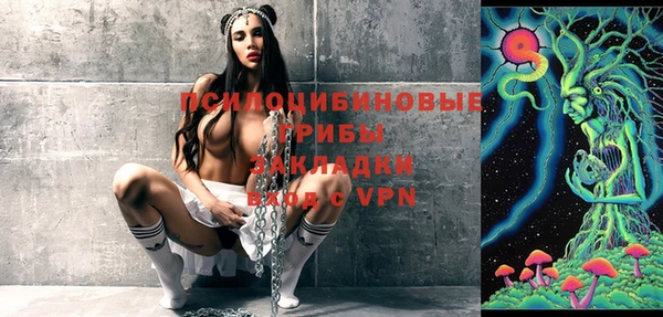 МДПВ Абаза