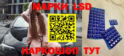 гашик Славгород