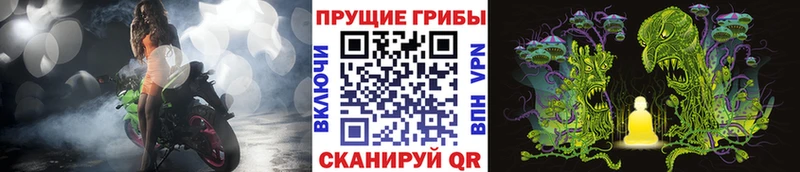 дарнет шоп  Уварово  Псилоцибиновые грибы прущие грибы 